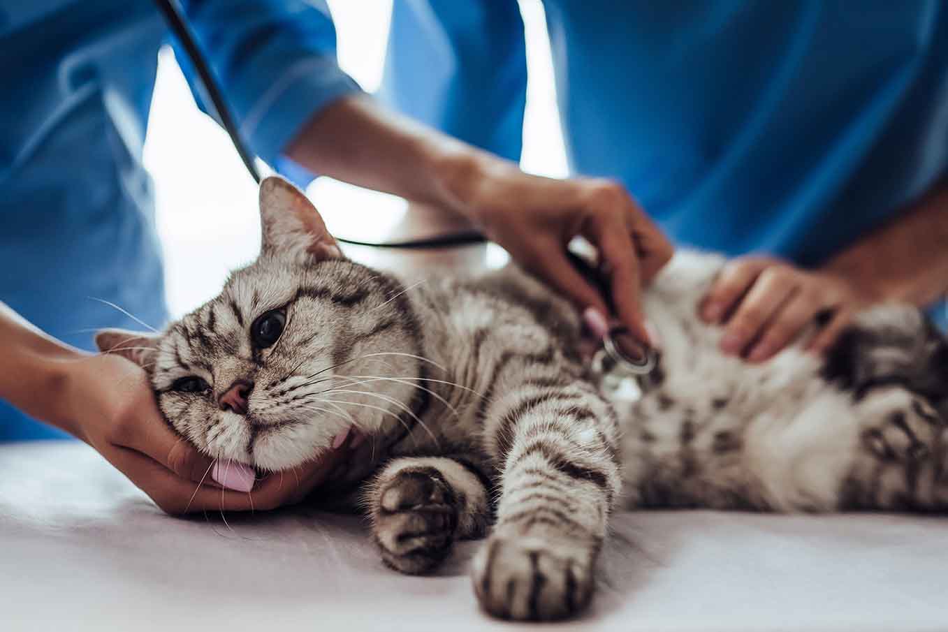 適用於遠端監測