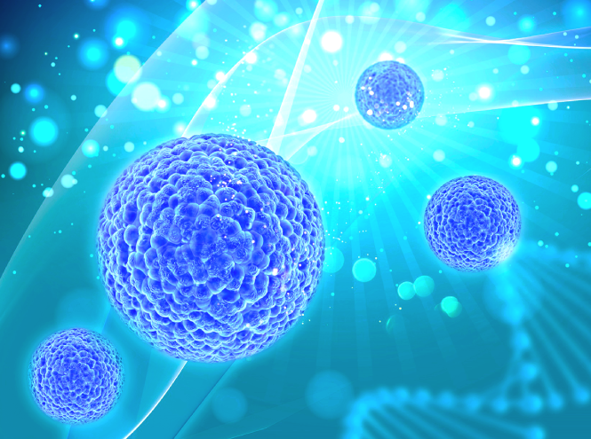Interferon-Alpha（IFN-α）– 調節免疫系統對抗病毒感染